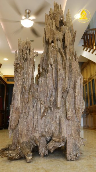 Thien Quang Agarwood – 天光 沉香