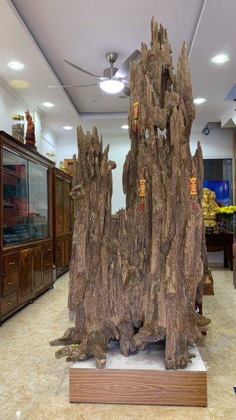 Thien Quang Agarwood – 天光 沉香