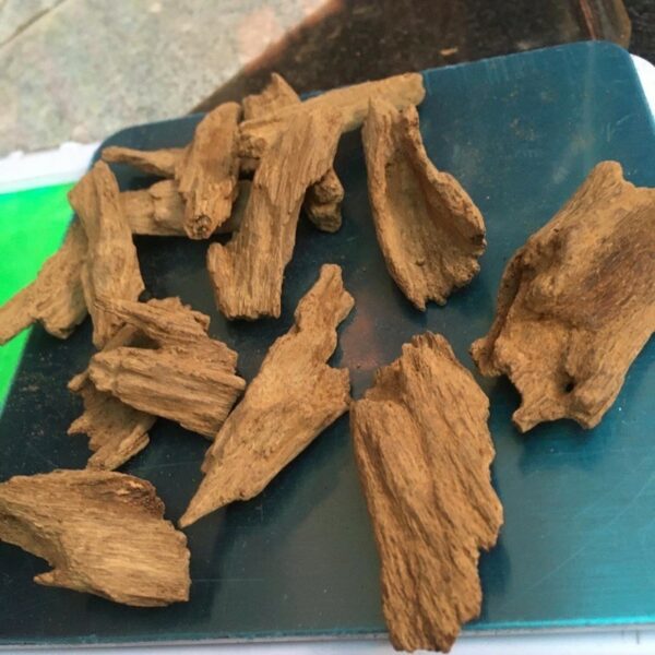 Thien Quang Agarwood – 天光 沉香