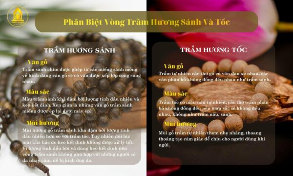 Thien Quang Agarwood – 天光 沉香