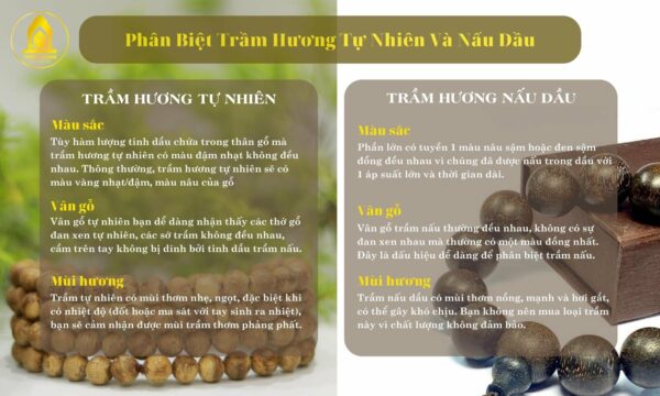 Thien Quang Agarwood – 天光 沉香