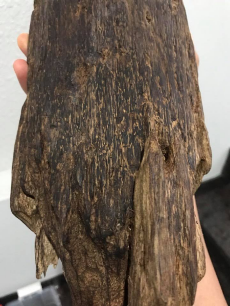 Thien Quang Agarwood – 天光 沉香