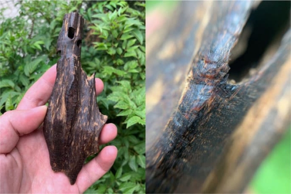 Thien Quang Agarwood – 天光 沉香